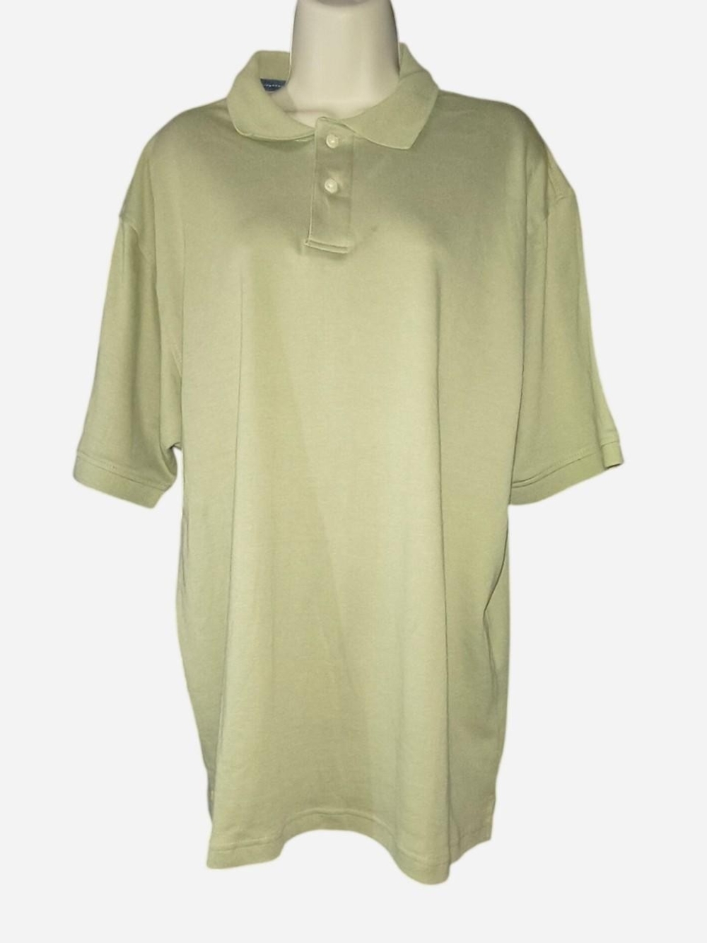 Arrow Men's Polo Shirt in Light Sage Green